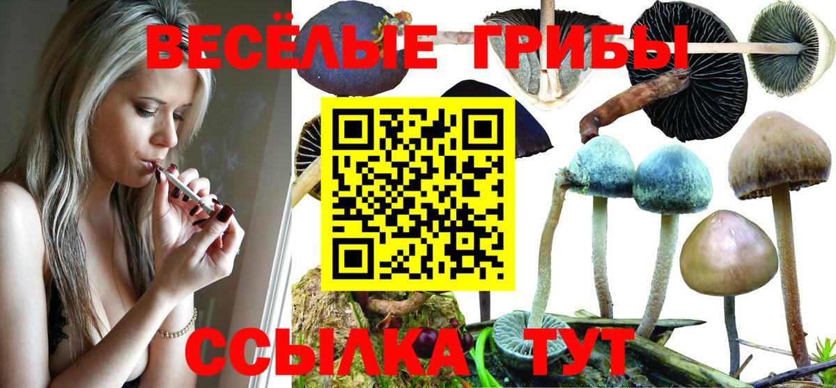 Псилоцибиновые грибы MAGIC MUSHROOMS  Псилоцибиновые грибы Psilocybe  Вольск  Вход с VPN 